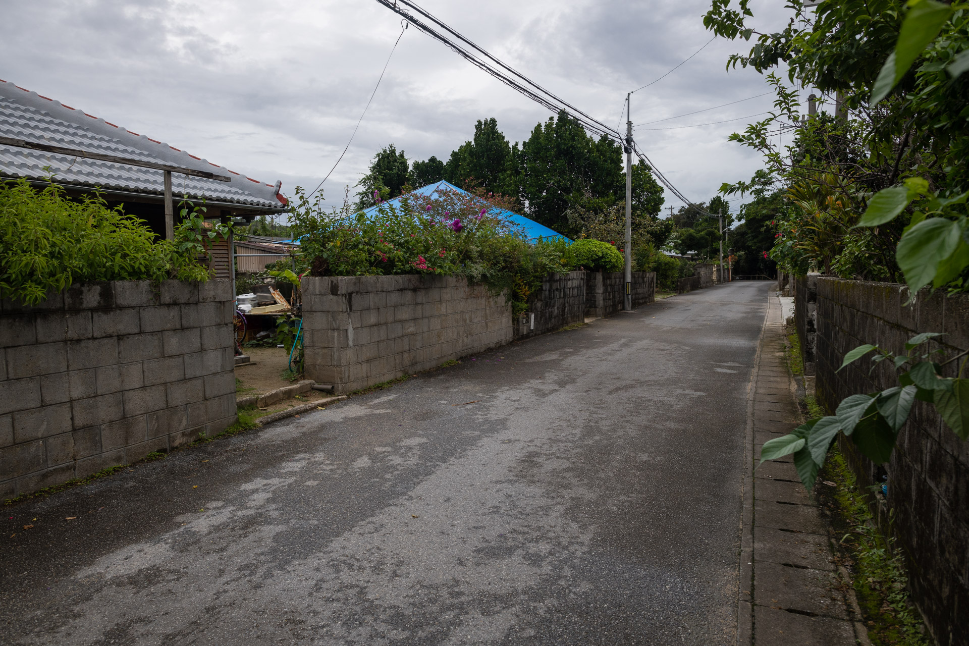 Dorfstrasse auf Okinawa